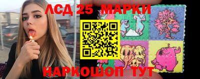spice Новодвинск