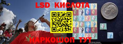 крисы Новокубанск