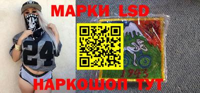 spice Новодвинск
