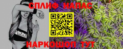 крисы Новокубанск