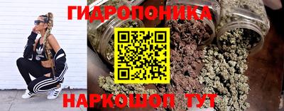 MDMA Новозыбков
