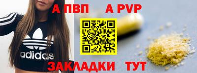 крисы Новокубанск