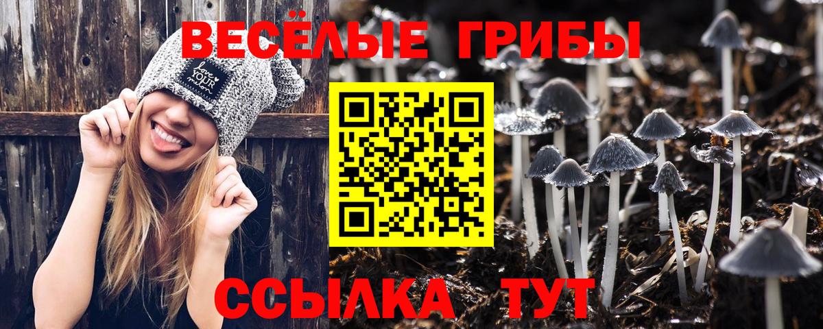 Псилоцибиновые грибы прущие грибы  Галлюциногенные грибы GOLDEN TEACHER  Дагестанские Огни  Вход с VPN 